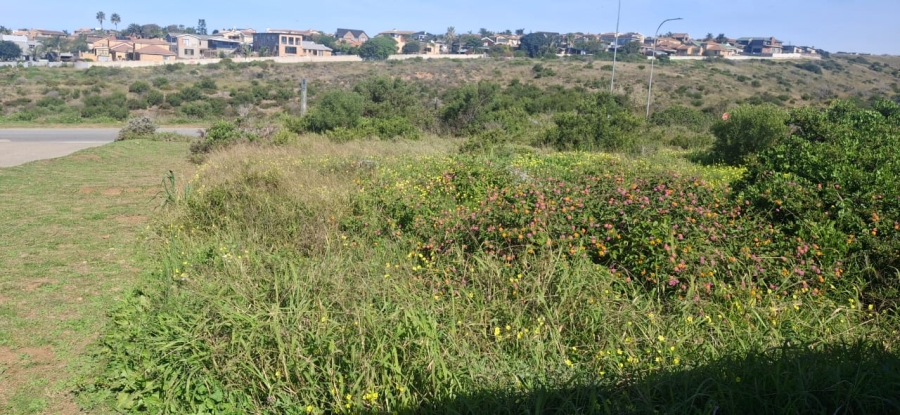 0 Bedroom Property for Sale in Hartenbos Heuwels Western Cape